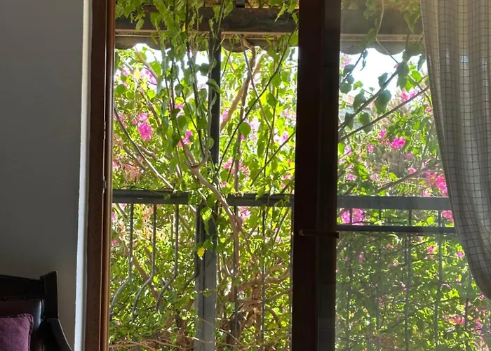 Hira Holiday home Datca